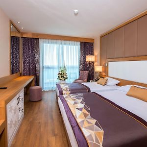 Double or Twin Room Mountain View